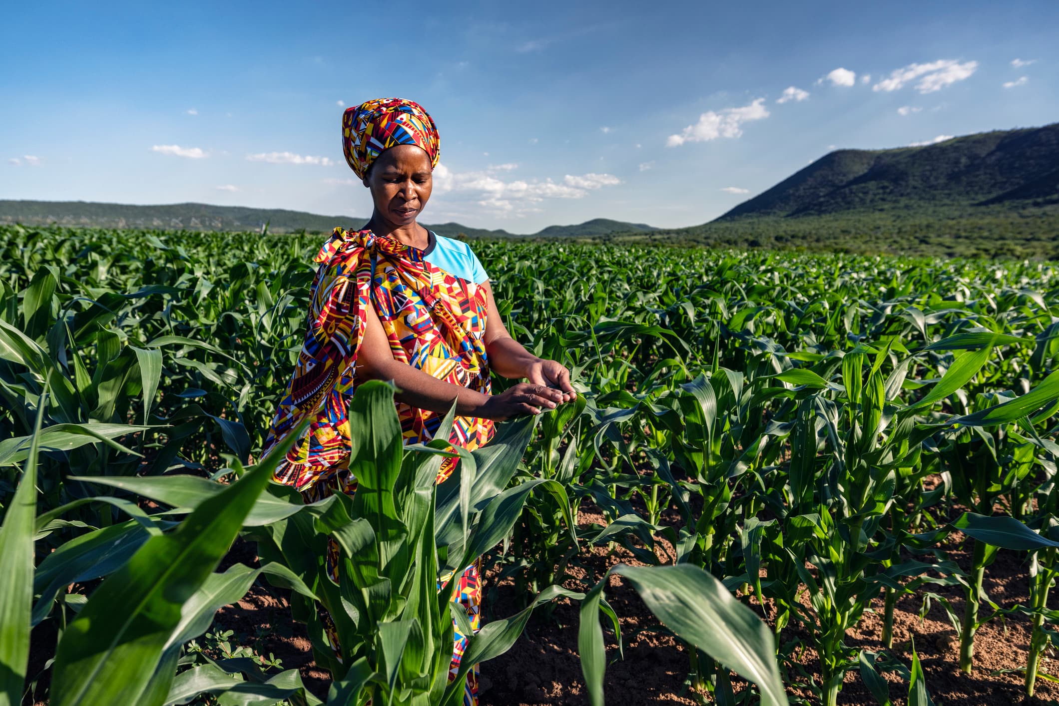 Sahel Capital Secures $10M From Mastercard Foundation Africa Growth Fund To Grow African Agri-SMEs